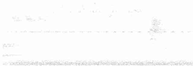 Yellow-throated Toucan - ML618270508