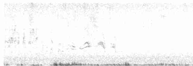 Eastern Olivaceous Warbler - ML618270519