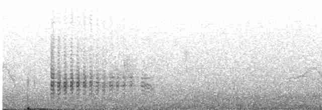 黑玄燕鷗 - ML618270527