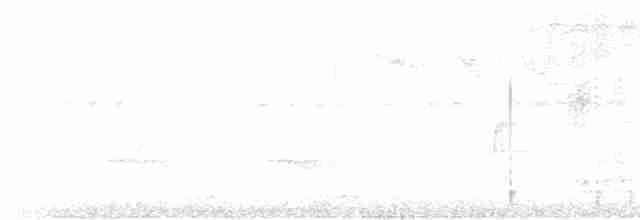Kestane Sırtlı Karıncakuşu - ML618270543
