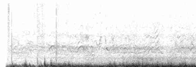 Rußseeschwalbe - ML618270550