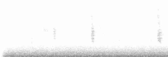 Common Yellowthroat - ML618270631