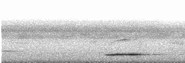 Thicket Tinamou - ML618271000