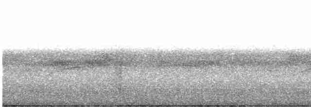 Pheasant Cuckoo - ML618271004