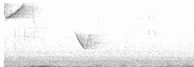 Сероголовый виреон - ML618271174