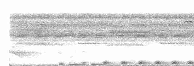 lelek šedočelý - ML618271502