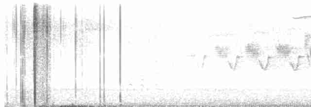 Cerulean Warbler - ML618271718