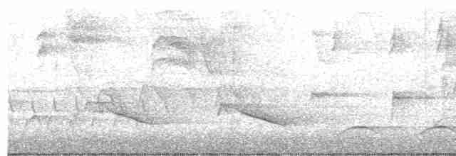 Cerulean Warbler - ML618272496