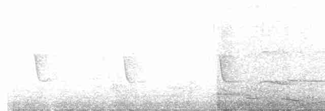 Black-hooded Oriole - ML618272826