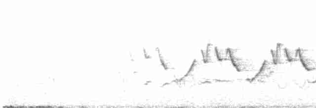 Common Yellowthroat - ML618273091
