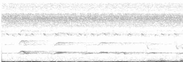 tukan rudozobý - ML618275239