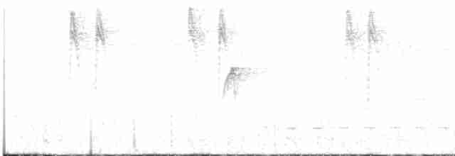 Spot-breasted Woodpecker - ML618275266
