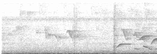 Kara Karınlı Çıtkuşu - ML618276047