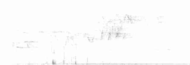 Cerulean Warbler - ML618276629