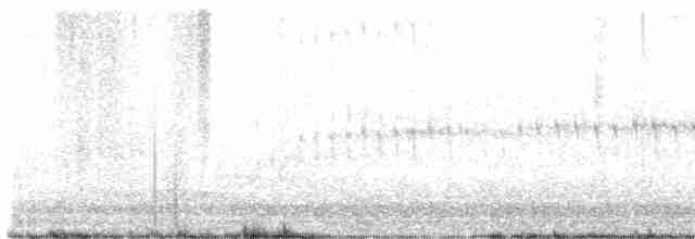 シロハラアマツバメ - ML618276860