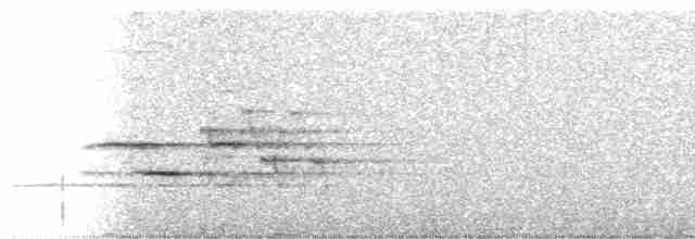 Дрізд-короткодзьоб плямистоволий - ML618279572