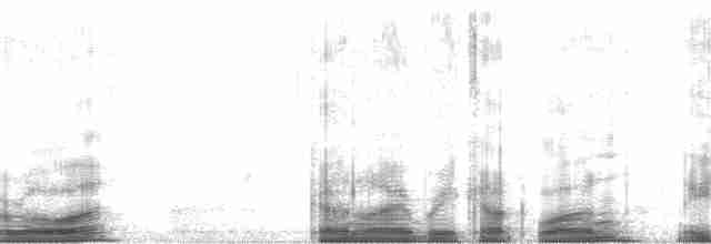 白腰叉尾海燕(leucorhoa) - ML61828