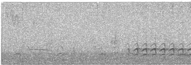 Weißbrustkleiber - ML618281124