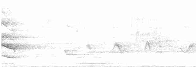 Чернокрылая пиранга - ML618281512