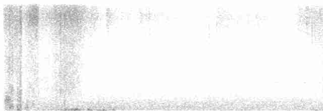 Ak Tepeli Baştankara - ML618281658