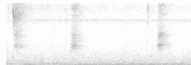 Gümüş Gagalı Tangara - ML618282457