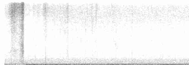 Cırcır Sesli Serçe - ML618283267
