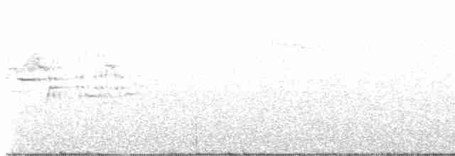 Münzevi Bülbül Ardıcı - ML618283323