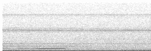 holub bledočelý - ML618283517