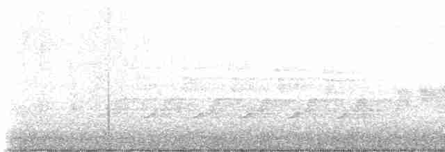 lesňáček modrohřbetý - ML618283679