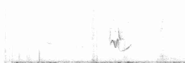 Cassin Vireosu - ML618284231