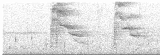 Морщинистоклювая ани - ML618284431