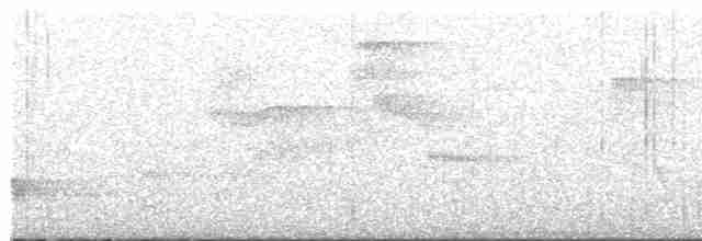 Little Tinamou - ML618284611