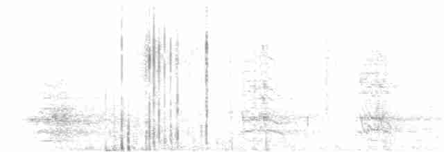 Лиловогрудый амазон - ML618285166