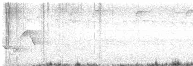 Поплітник каролінський - ML618285216