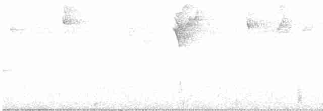Блакитар вохристоволий - ML618285513