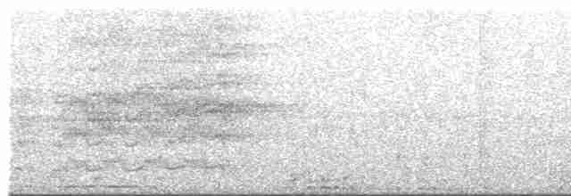 Челноклювый бентеви - ML618285941