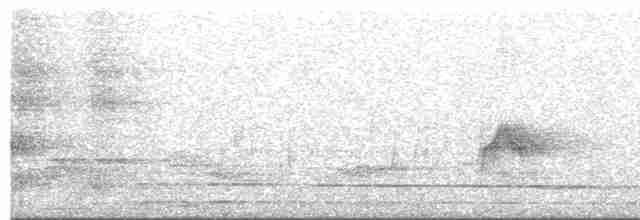 Gri Yanaklı Bülbül Ardıcı - ML618286270