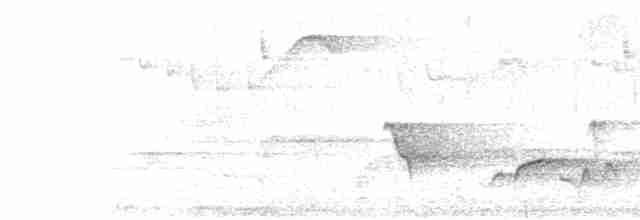 Серогрудый крапивник - ML618286291