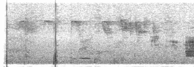 Weißwangen-Dickichtschlüpfer - ML618286636