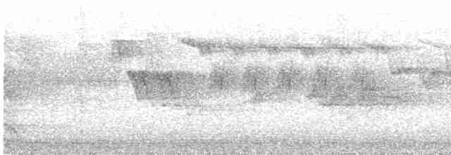 Common Redstart - ML618286712