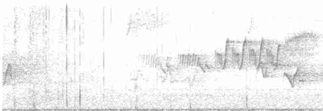 Cerulean Warbler - ML618286779