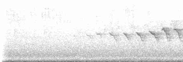 Yellow-rumped Warbler - ML618287491