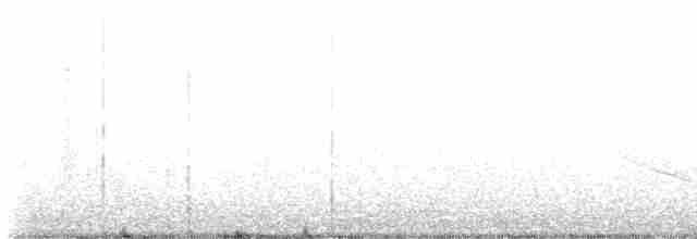 Weißbrustkleiber - ML618288265