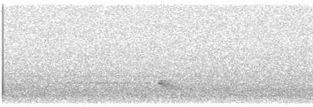 Yellow-crowned Night Heron - ML618288927