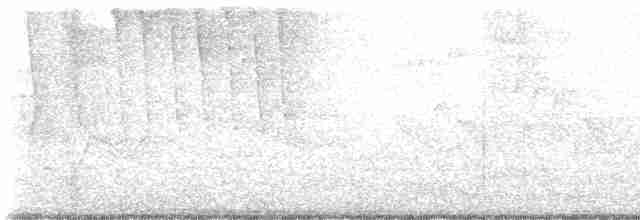 Tennessee Warbler - ML618289124
