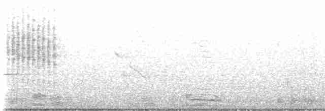 Поплітник каролінський - ML618289566