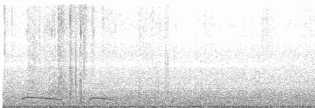 holoubek mexický - ML618289598