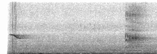 Чернохохлая гренадерка - ML618289606