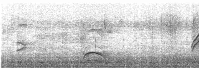 Oriole masqué - ML618289725