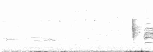 White-eyed Vireo - ML618290916